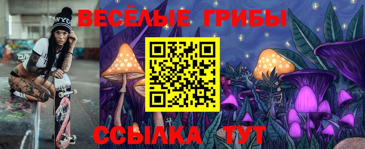 Псилоцибиновые грибы GOLDEN TEACHER Заводоуковск
